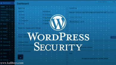 WordPress Security WordPress CMS Web Development CT 390x220 - رعایت چند نکته برای افزایش امنیت وردپرس