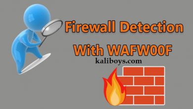 شناسایی فایروال سایت ها با ابزار WAFW00F