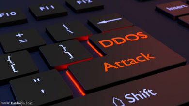 کاهش تاثیر حملات DOS/DDOS در سیسکو