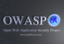owasp kaliboys 220x150 - ۱۰ آسیب پذیری مهم در برنامه های وب (OWASP)
