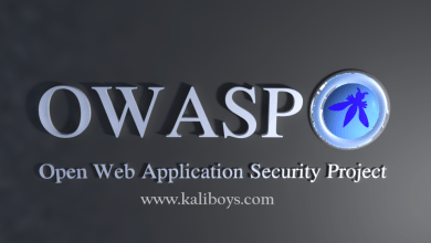 owasp kaliboys 390x220 - ۱۰ آسیب پذیری مهم در برنامه های وب (OWASP)