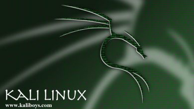 kali linux wallpaper 02 by hayato2192 dcek6ae pre 390x220 - تفاوت نسخه های کالی لینوکس چیست؟