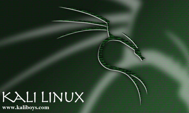 kali linux wallpaper 02 by hayato2192 dcek6ae pre 780x470 - تفاوت نسخه های کالی لینوکس چیست؟