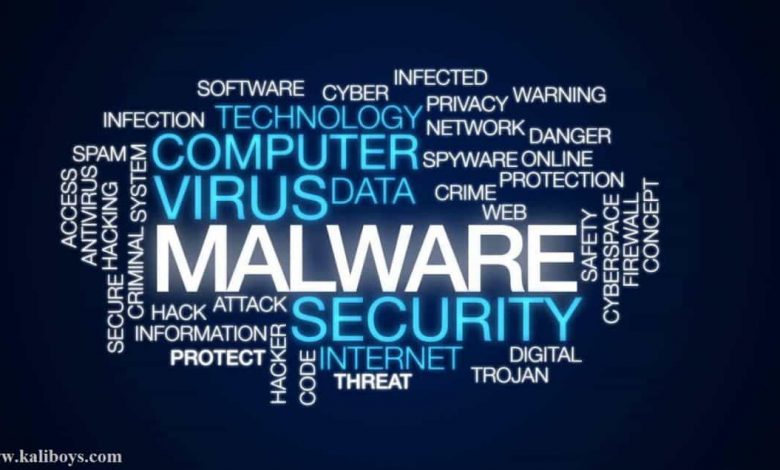 photo 2019 03 29 17 08 15 780x470 - بدافزار (Malware) چیست؟ و انواع آن چگونه است