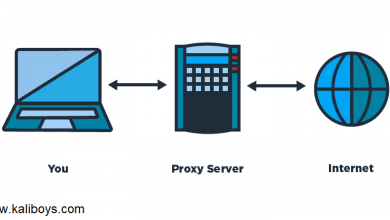 پروکسی (Proxy) سرور چیست؟ و انواع آن کدام است؟