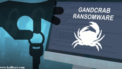 رمزگشای باج‌افزار GANDCRAB منتشر شد