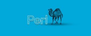 Perl 300x120 - 11 زبان برنامه نویسی برای هکرها