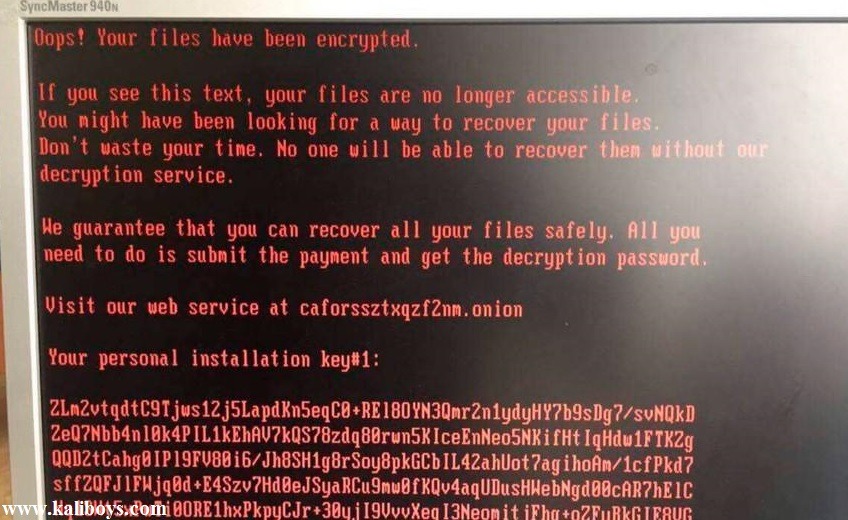 ransomware the cost of rescuing your fil 5cb876e7bd785600b912b48a 1 apr 24 2019 14 07 45 poster - رمزگشای باج‌افزار GANDCRAB منتشر شد