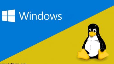 win linux dual boot 390x220 - 21 دلیل برای اینکه لینوکس بهتر است یا ویندوز