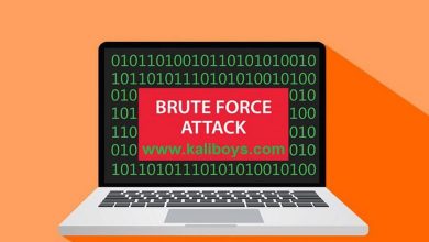 حمله بروت فورس صفحه لاگین با Acunetix