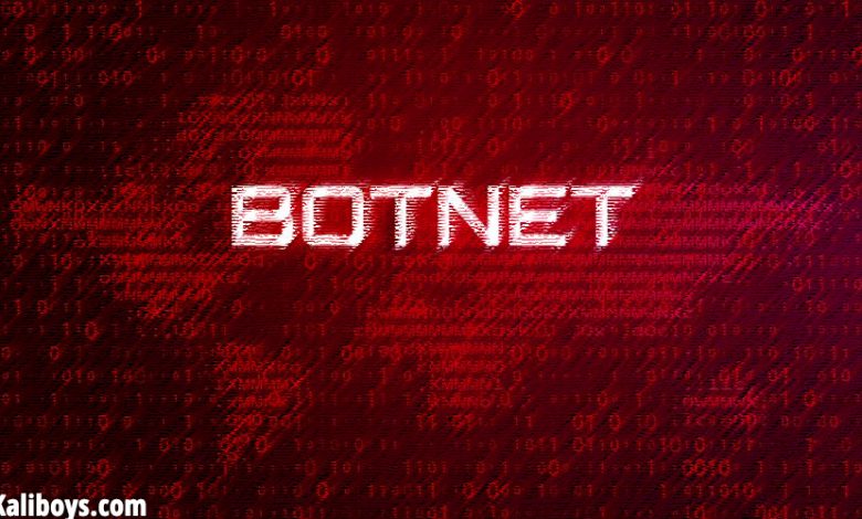 what is botnet