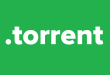 The Ultimate Torrent guide for 2019 220x150 - فایل تورنت چیست و تورنتینگ چه کاربردی دارد؟
