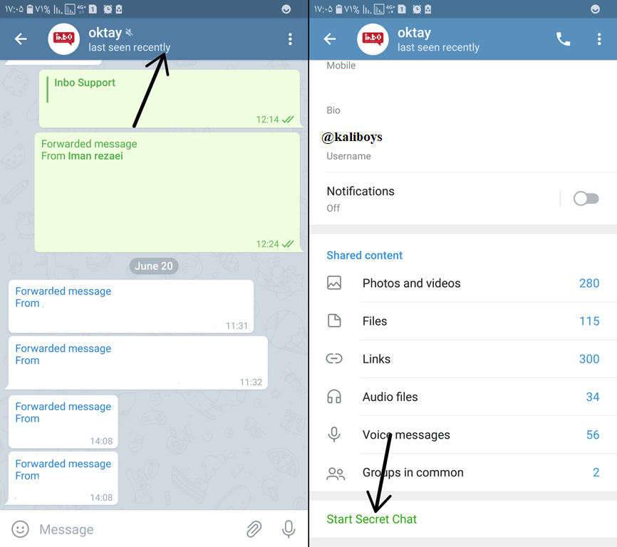 چگونه امنیت خود را در تلگرام بالا ببریم؟