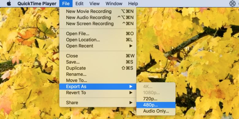 reduce video size in quicktime for mac - نحوه کم کردن حجم ویدیو (فشرده کردن ویدیوها)