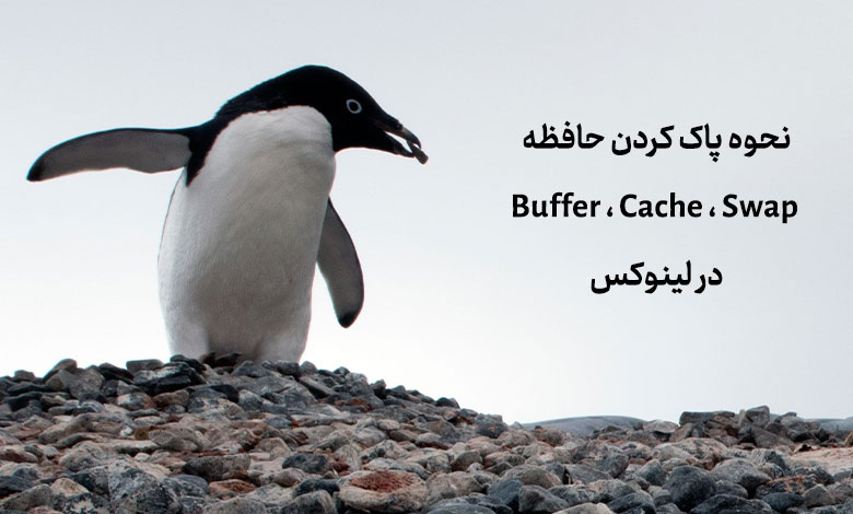 how to clear buffer and cache memory and swap space in linux - نحوه پاک کردن حافظه Buffer ، Cache و Swap در لینوکس
